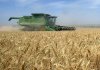 Trigon Agri не пустил корни на Дону