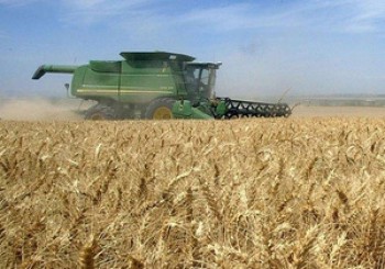 Trigon Agri не пустил корни на Дону