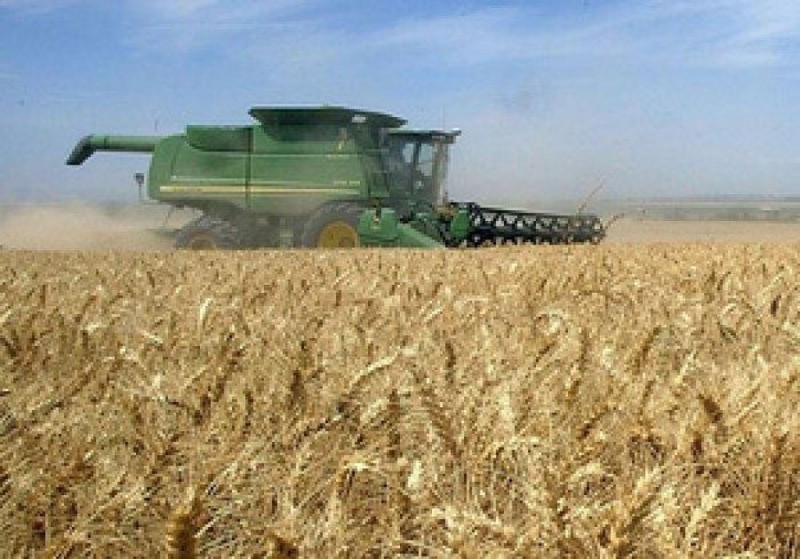 Trigon Agri не пустил корни на Дону