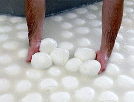 Италия и Россия: мы нужны друг другу