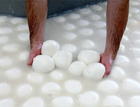 Италия и Россия: мы нужны друг другу