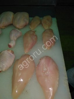 филе грудки