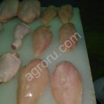 филе грудки