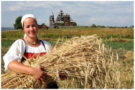 Гибель зерновых в Белгородской области