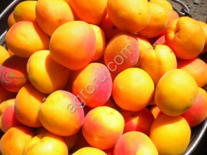Фрукты и овощи из Ирана