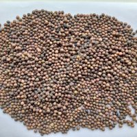 Вика яровая