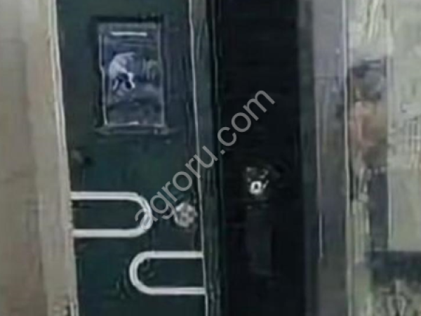 Печь ротационная SVEBA DAHLEN