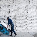 Сахар белый свекловичный мешки по 50 кг.