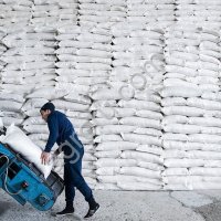 Сахар белый свекловичный мешки по 50 кг.