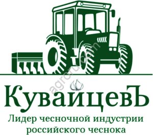 Семенной чеснок от производителя