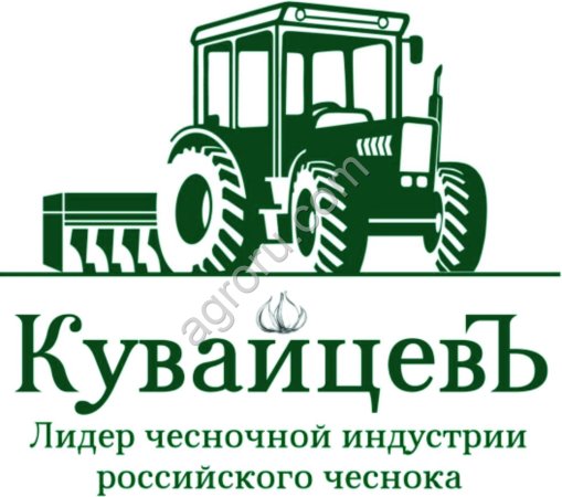 Семенной чеснок от производителя