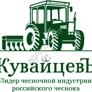 Семенной чеснок от производителя