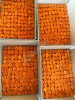 Курага разных сортов от производителя и прямого поставщика.