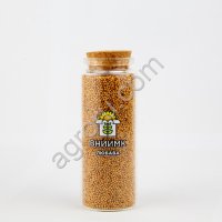 Семена горчицы озимой ВНИИМК сорт Джуна