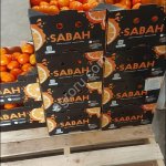 Мандарины свежие (производство Марокко)