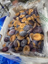 Слива замороженная c косточкой, кубик, половинка