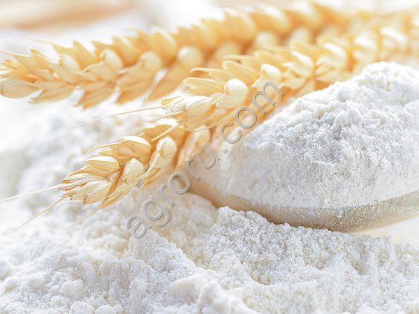 Мука пшеничная от производителя