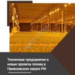 Полная База промышленных и фермерских теплиц Приволжья: контакты, мощности, технологии, показатели
