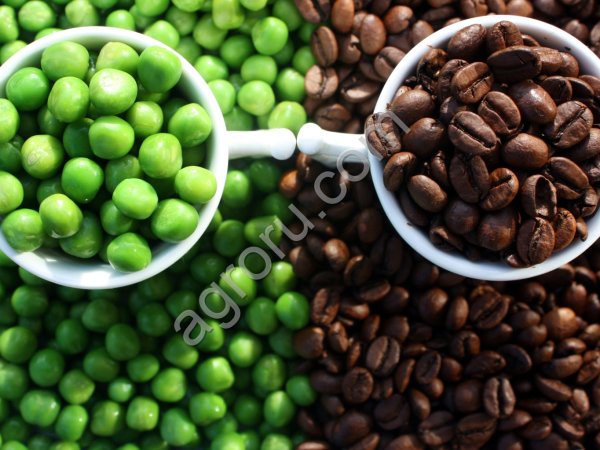 Просрочка. Кофе в зёрнах зелёный , Кофе в зёрнах обжаренный.