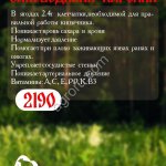 Карельские ягоды варенье