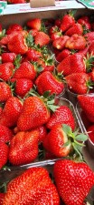 Клубника из Белореченска