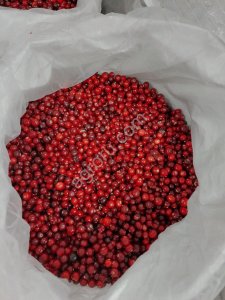 СВЕЖЕЗАМОРОЖЕННЫЕ ЯГОДЫ ОТ КОМПАНИИ Грибной Алтай!