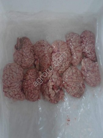 Субпродукты КРС