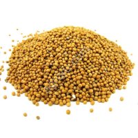 Семена  горчицы