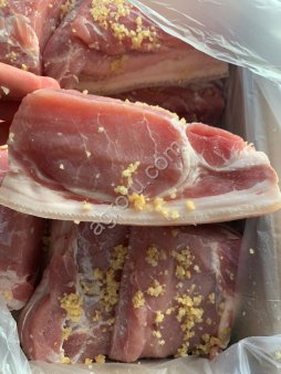 Солонина Сибирская