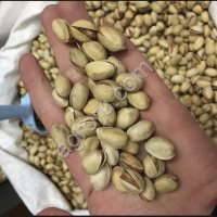 Фисташка натуральная, механика, ядро