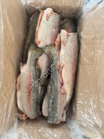 Форель ПБГ 1, 8-2, 7 (Турция)