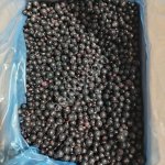 Смородина черная