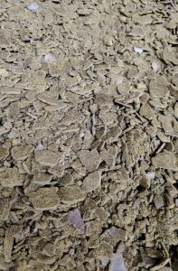 Жмых рапсовый 38-40%