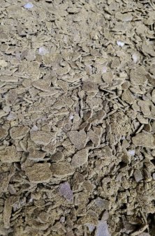 Жмых рапсовый 38-40%