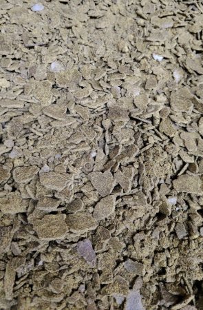 Жмых рапсовый 38-40%