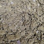 Жмых рапсовый 38-40%