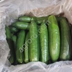 Огурец 2 сорт