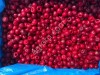 замороженных фруктов и овощей