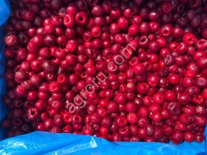 замороженных фруктов и овощей