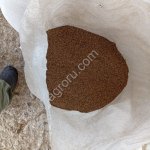 семена райграса пастбищного ( многолетнего)