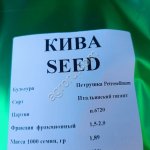 Петрушка сорт Итальянский гигант