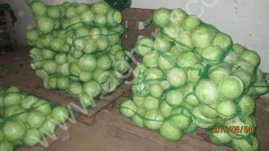 Капуста