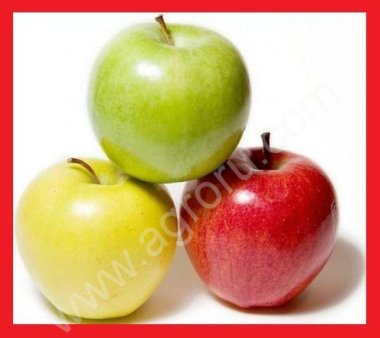 Жом яблочный, корм для скотины, яблочные выжимки.