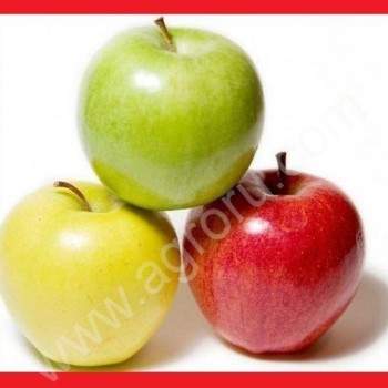<span>жом</span> яблочный корм для скотины яблочные выжимки