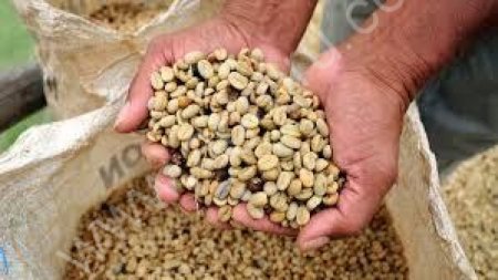 кофе в бобах и молотый