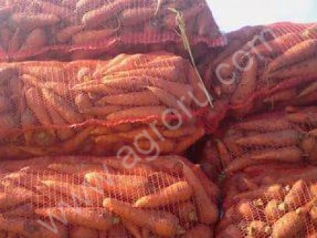 Морковь оптом