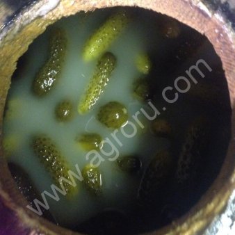 Соленые огурцы.