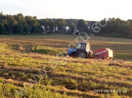 Сено в рулонах урожай 2017