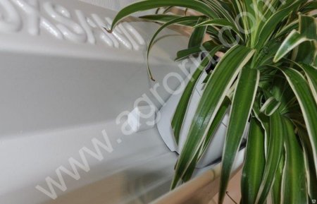 Фитомодуль 60х65 см Цвет - белый Модульная система BOXSAND