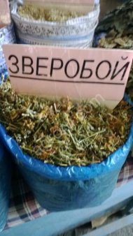лекарственые травы
